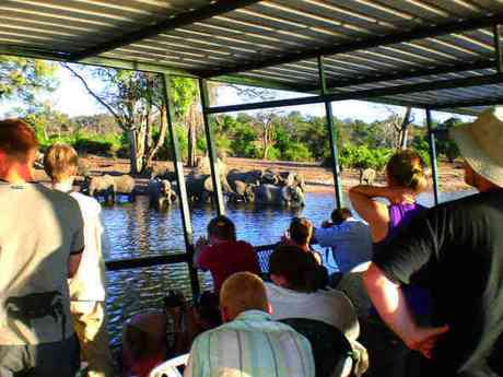 Delta & Chobe Trail